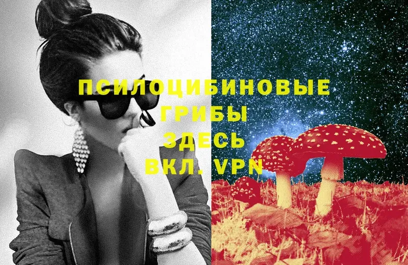 ссылка на мегу tor  Новопавловск  Галлюциногенные грибы Psilocybe 